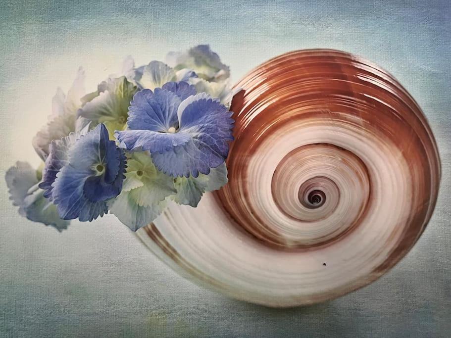 Casa Blue Flower - Bright & Breezy Home Фіскардо Екстер'єр фото